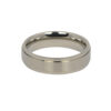 Brushed Satin Titanium Mens Ring