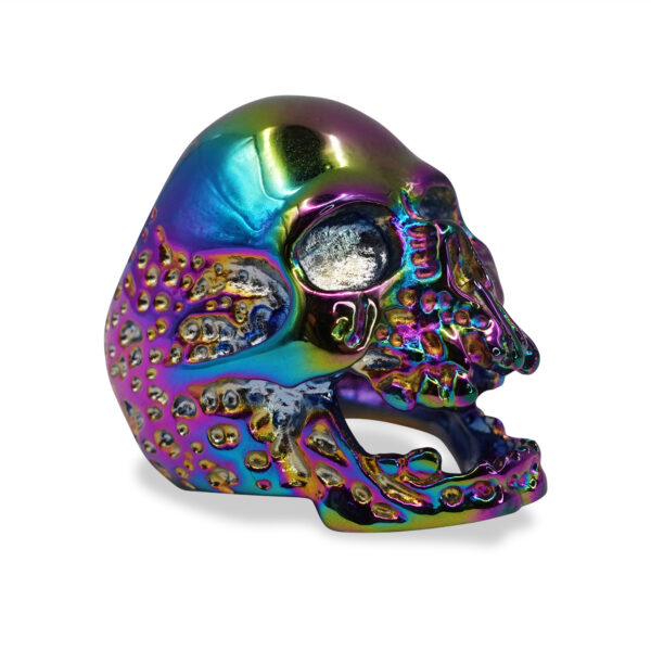 SIG-070-Epic-Rainbow-Effect-Skull-Ring-1.jpg SIG-070-Epic-Rainbow-Effect-Skull-Ring-1.jpg